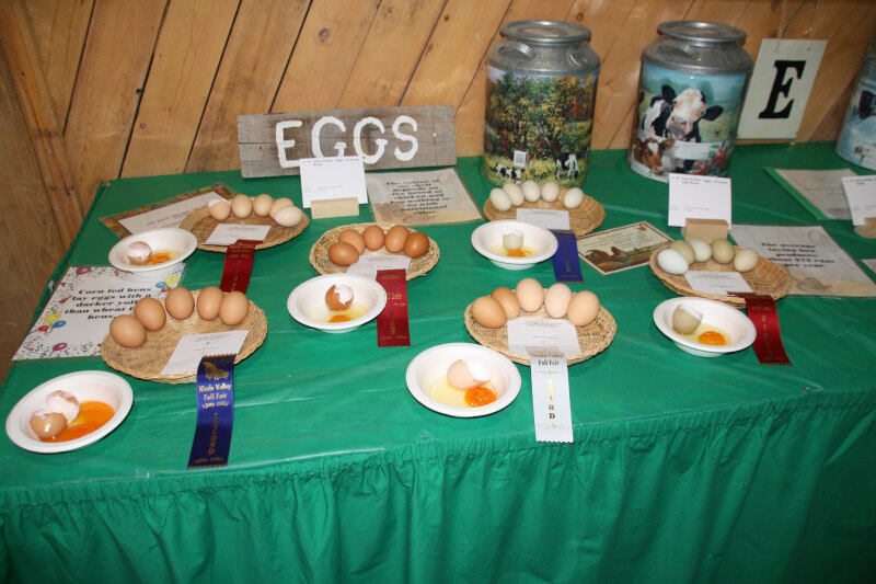 Eggs at Nicola Valley Fall Fair