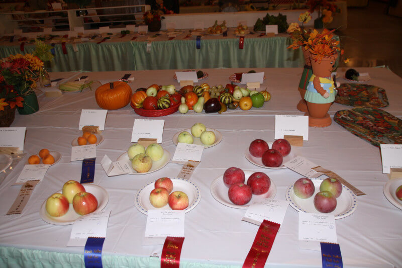 Nicola Valley Fruit - Fall Fair